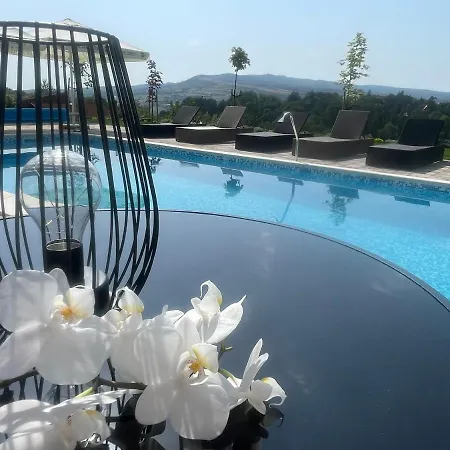 Hotel Relax